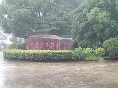 -中国扬子鳄村