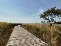 -野鸭湖国家湿地公园