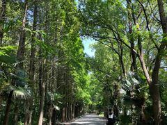 -同里国家湿地公园