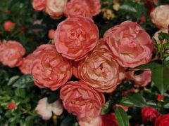 -人民公园(罗湖区)