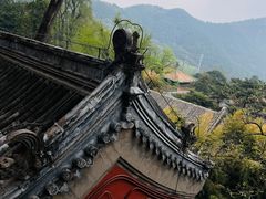 -潭柘寺景区