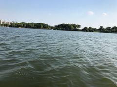 -荷塘月色湿地公园·向阳花洲