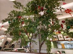 -Aqua Oasis 水天堂(太湖中心mall店)