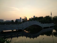 -映月湖公园