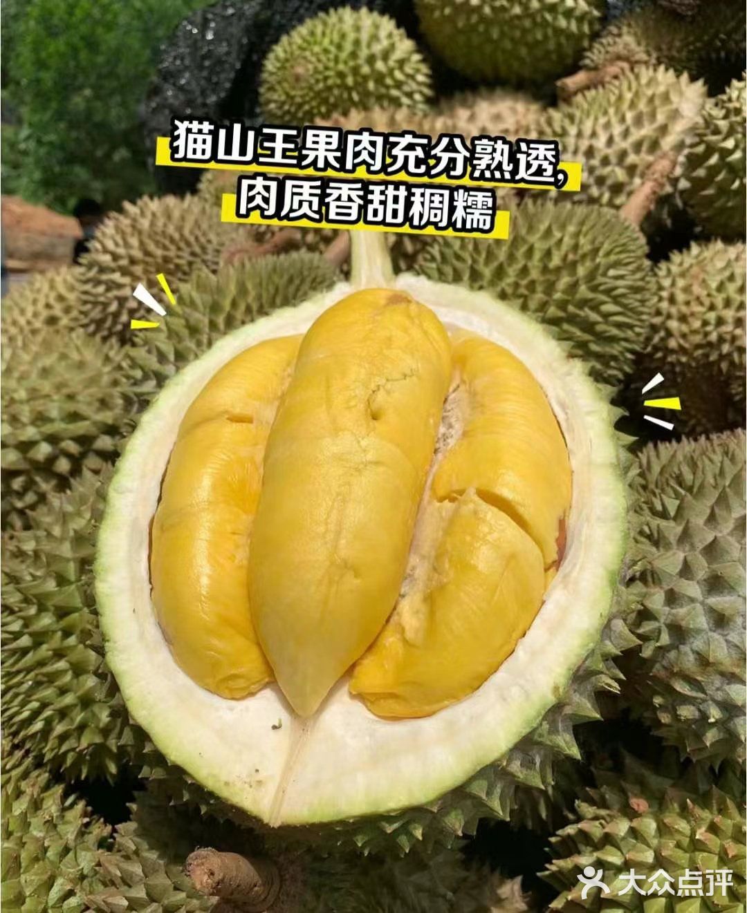 一入猫王深似海 从此金枕是路人