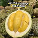 一入猫王深似海 从此金枕是路人