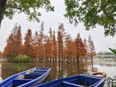 -白鹭湾湿地公园