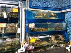 水产区-蚝专家(北滘店)