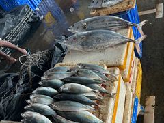 -尼甘布海鲜市场