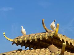 -广州莲花山旅游区