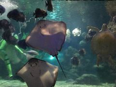 -南昌海洋公园