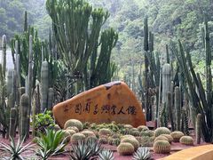-深圳仙湖植物园