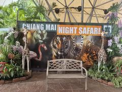 -清迈夜间动物园