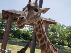 -石家庄市动物园