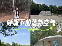 -中国西峡恐龙遗迹园