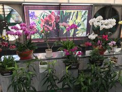 -兰陵国家农业公园