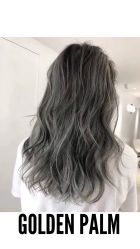 点击看大图 -金棕榈