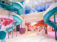 -海合安武汉极地海洋公园