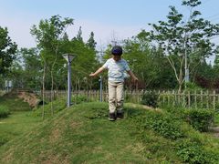 -前小桔亲子创意农场·草莓采摘·露营烧烤