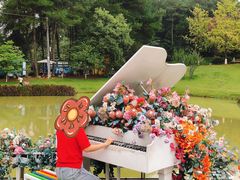 -铁山坪森林公园