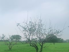 -良渚古城遗址公园