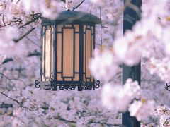 -苏州上方山国家森林公园