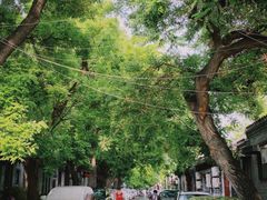 -北京国子监胡同
