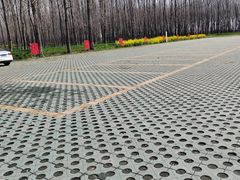 -渌洋湖湿地公园