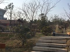 -东海森林温泉度假酒店