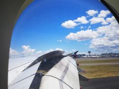 -新加坡航空公司(ION)