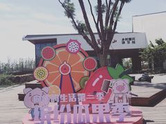 -田园东方蜜桃村的田野营地