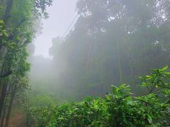 -广州市帽峰山景区