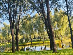 -东郊湿地公园