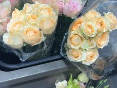 -鹿岛生活(熙地港店)
