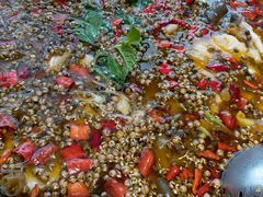 -南山渔美蛙鱼·老鸭汤·火锅(成都大邑店)