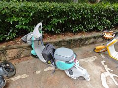 -武汉大学-樱园