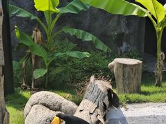 -武汉动物园