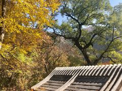 -北京上方山国家森林公园