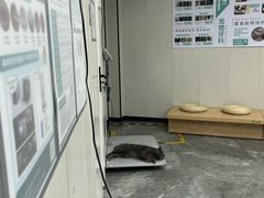 -东莞宠友24H宠物中心医院·转诊夜诊·异宠(新河北路院)