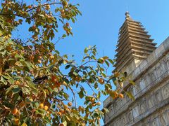 -北京石刻艺术博物馆(五塔寺)