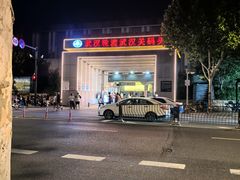 -武汉关码头(轮渡站)