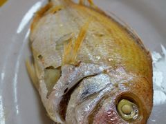 -桂园白粥·潮汕老味道