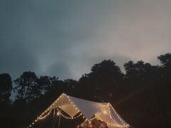 -春花秋色城市公园