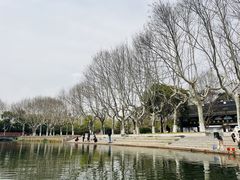 -泰州凤城河风景区-泰山公园