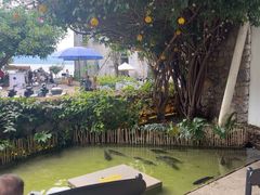 -大理老字号·舟渔的鱼野生菌海景餐厅(双廊店)