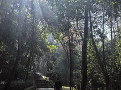 -铁山坪森林公园