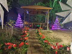 -枫花园汽车电影院(朝阳公园店)