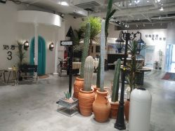 -好看加白色房子