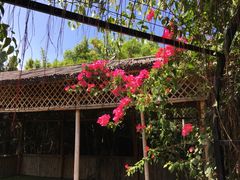 -亚龙湾国际玫瑰谷