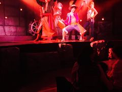 -东京塔海贼王主题公园